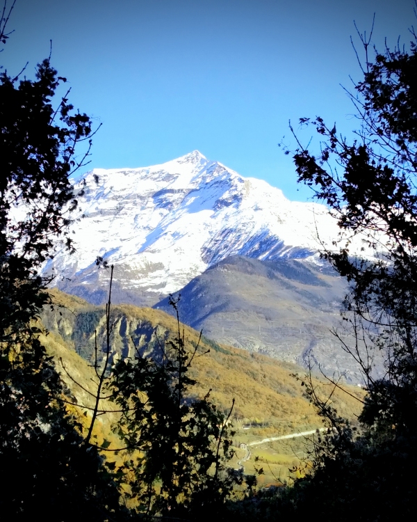 MOLTE BUONE RAGIONI PER UNA VACANZA IN MONTAGNA